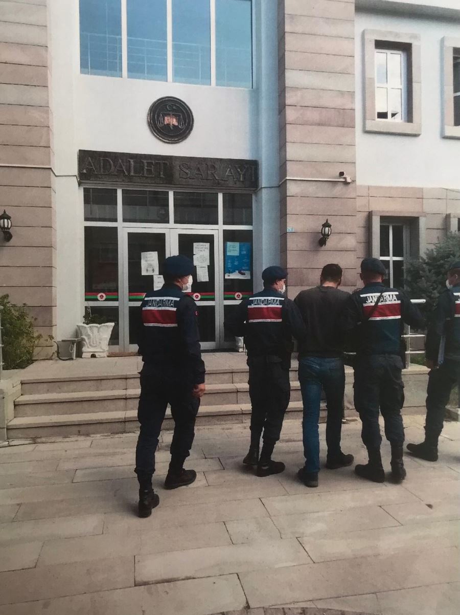 Hayvan hırsızları yakalandı