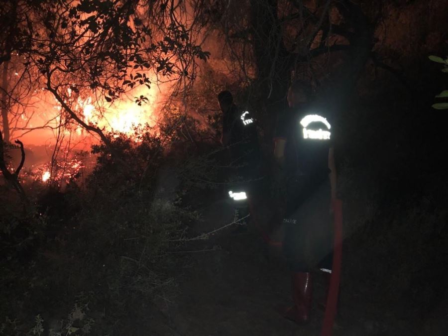 Afyon Belediyesi itfaiye ekipleri yangın bölgesinde