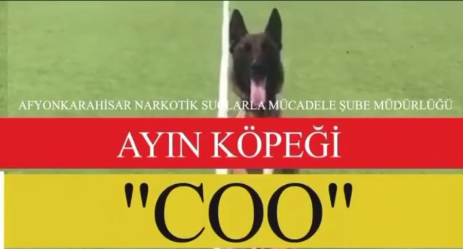 Afyon’da görev yapan polis köpeği Coo Türkiye’de ses getirdi