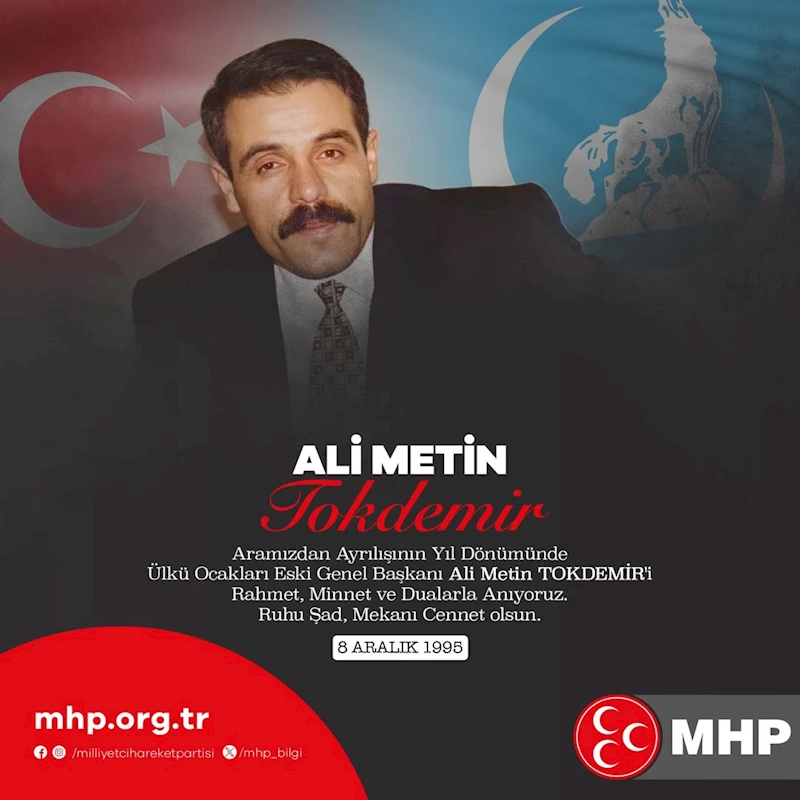 Ali Metin Tokdemir