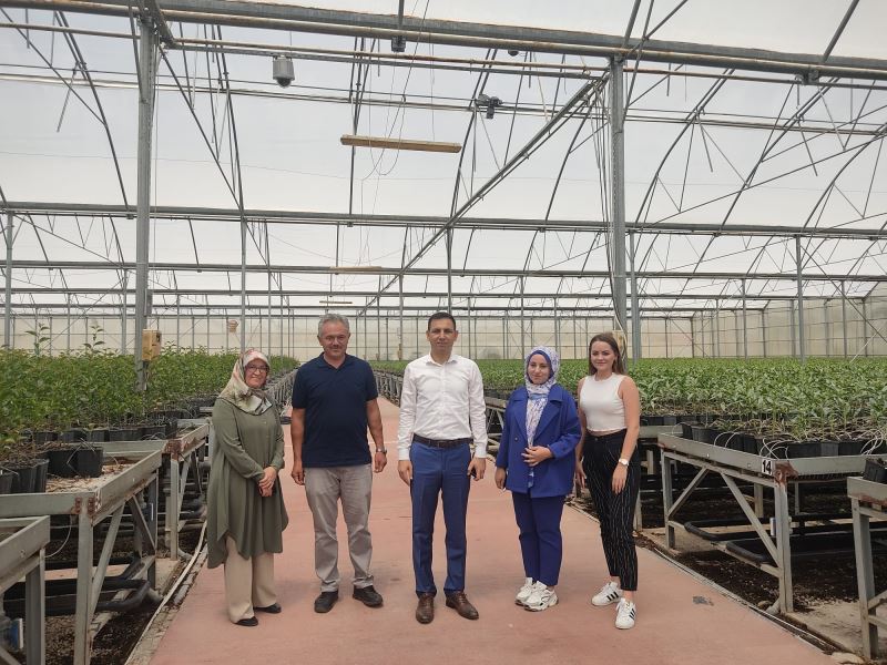 İrgeler Fidancılık Sandıklı Üretim Tesisleri