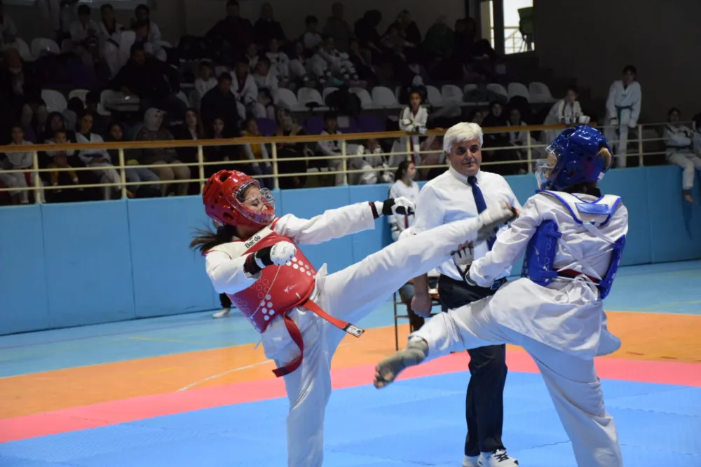 Minikler ve Yıldızlar Taekwondo müsabakaları