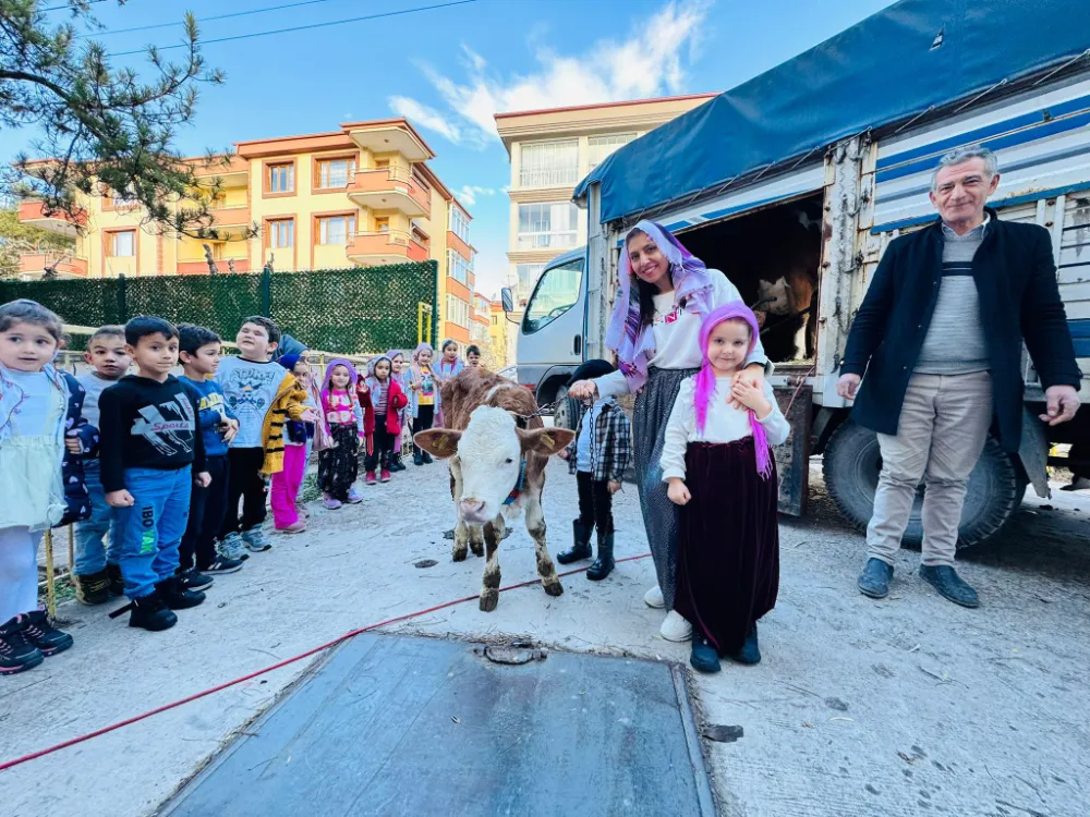 Okula inek getirildi, süt sağıldı, yoğurt yapıldı