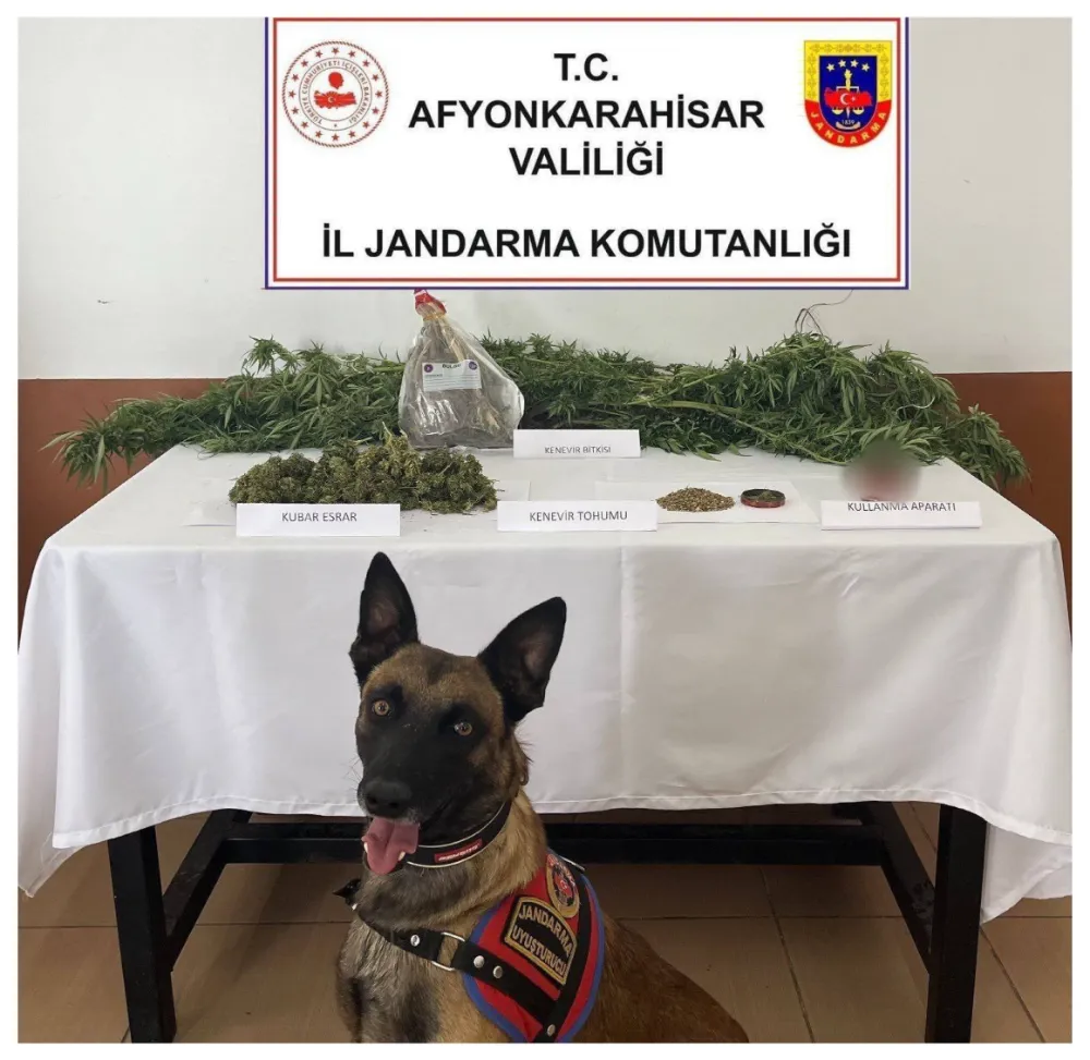 Jandarmadan narkotik köpekli baskın