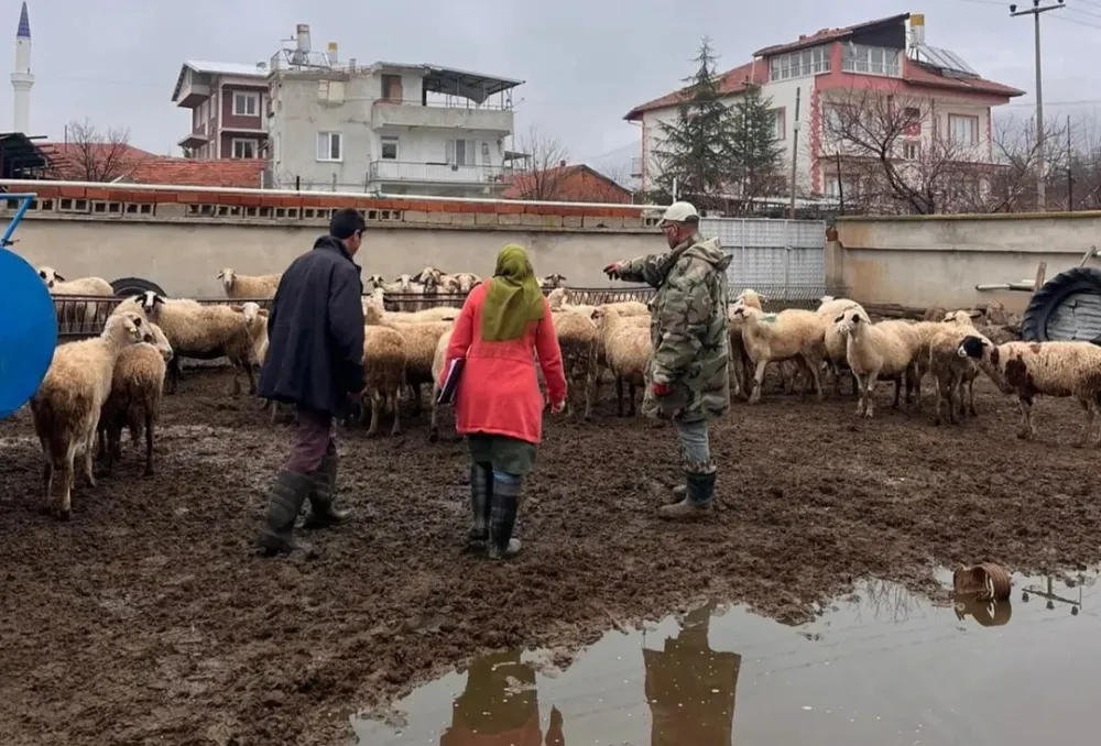 Sandıklı