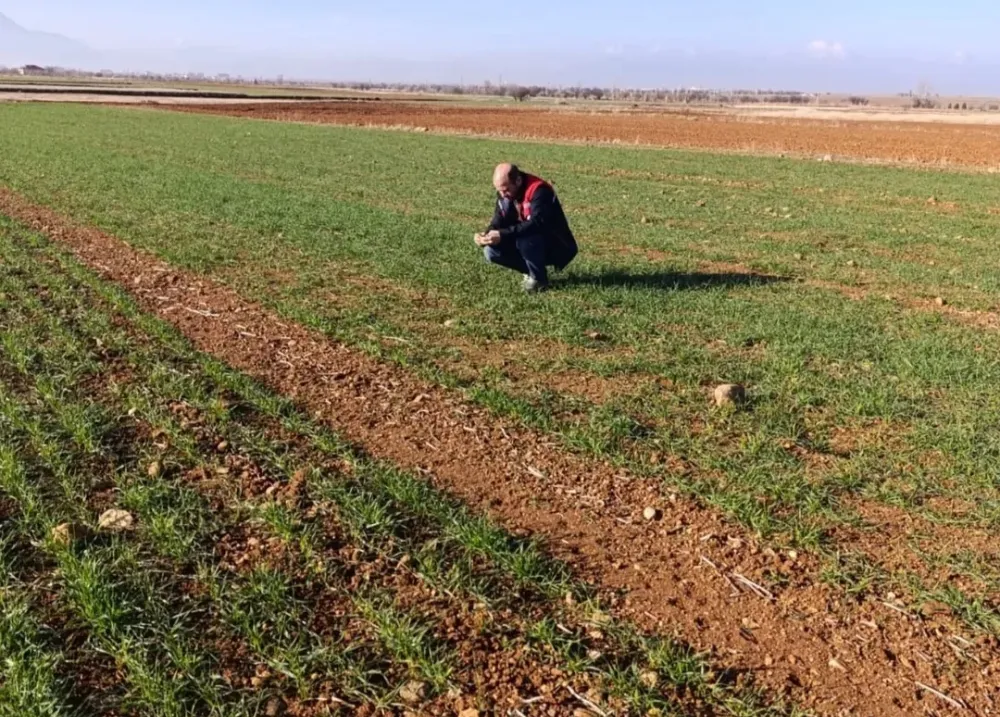 Başmakçı İlçe Tarım ve Orman Müdürlüğü çalışmalarını sürdürüyor 