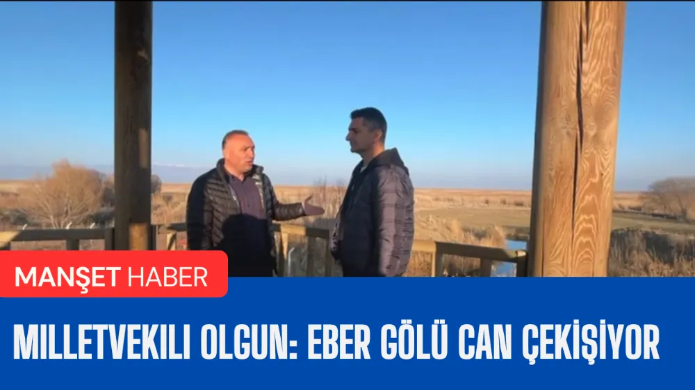 Milletvekili Olgun: Eber Gölü can çekişiyor