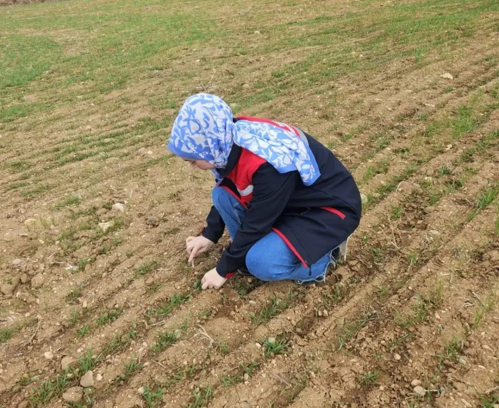 Hububat ve Haşhaş Ekili Alanlarda Arazi Kontrolleri Devam Ediyor