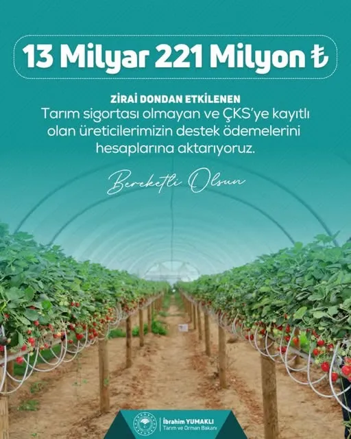 AK Parti Afyonkarahisar Milletvekili Yurdunuseven: 