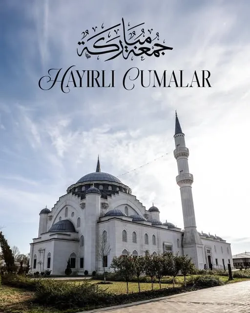 AK Parti Afyonkarahisar Milletvekili Ali Özkaya