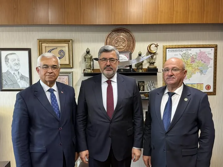 AK Parti Afyonkarahisar Milletvekili Ali Özkaya, Meclis