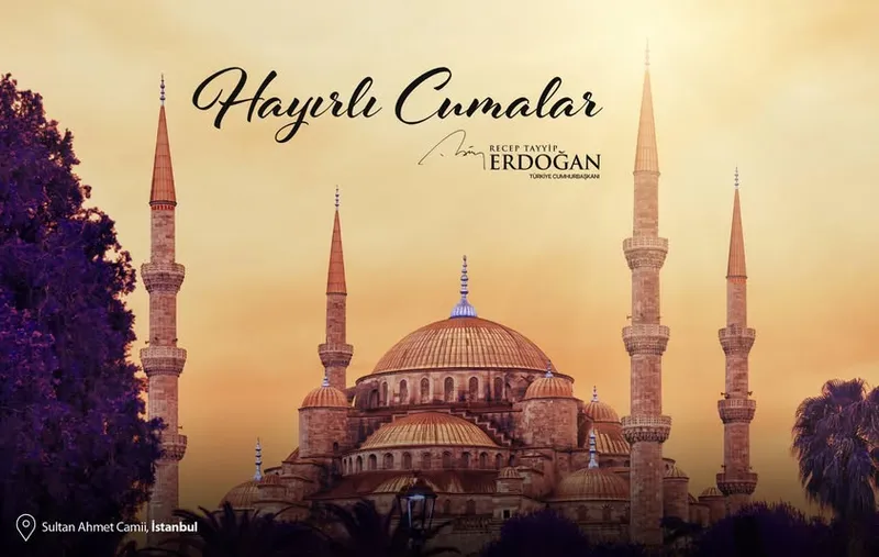 Afyonkarahisar Milletvekili Ali Özkaya