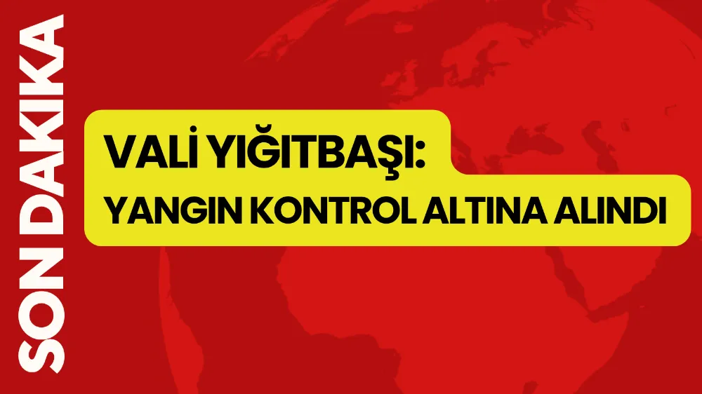 Vali Yiğitbaşı: Yangın kontrol altına alındı