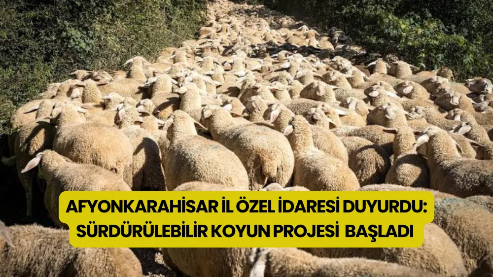 AFYONKARAHİSAR’DA SÜRDÜRÜLEBİLİR KOYUN PROJESİ BAŞVURULARI BAŞLADI