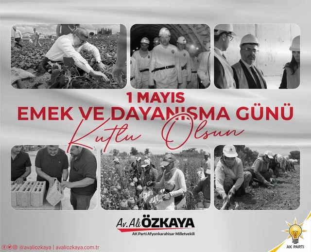 Ali Özkaya