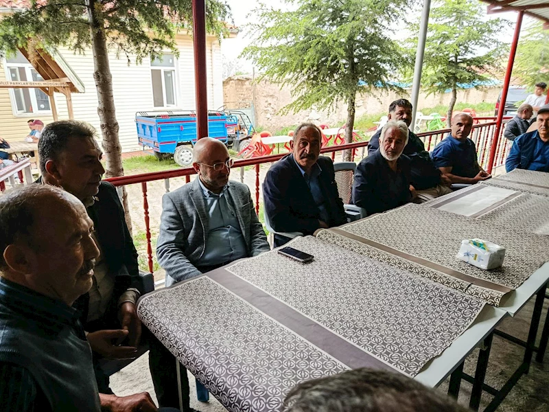 Ak Parti Heyeti, Afyonkarahisar Çay