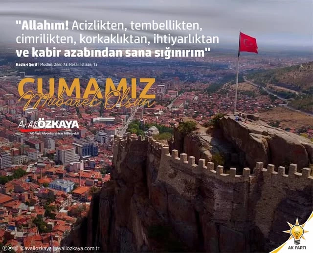 AK Parti Afyonkarahisar Milletvekili Ali Özkaya