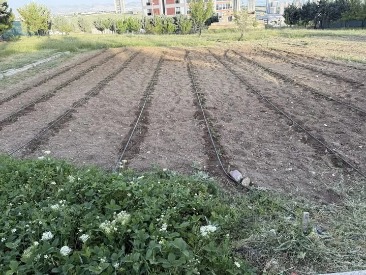 AK Parti Afyonkarahisar Milletvekili Özkaya Toprağa Dönüştü