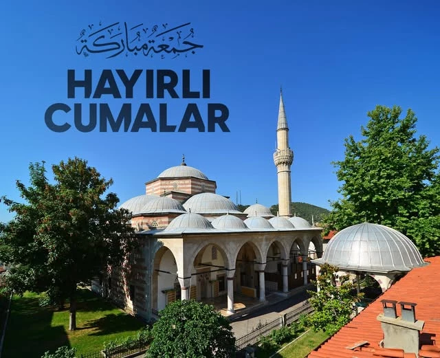 AK Parti Afyonkarahisar Milletvekili Özkaya