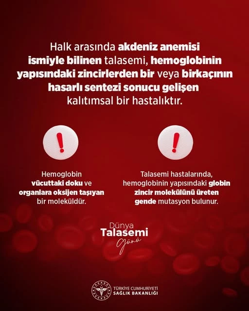 Talasemiyle Mücadelede Bilinçlenme Şart!