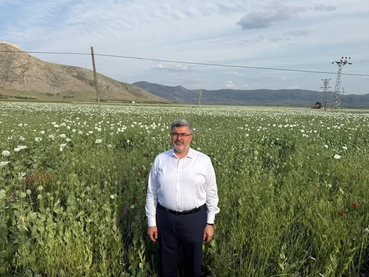 Ali Özkaya