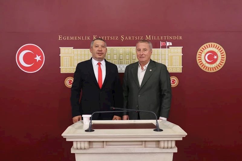 Dinar Belediye Başkanı Topçu, Milletvekili Olgun