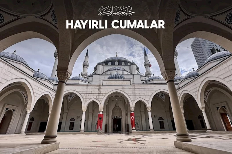 AK Parti Afyonkarahisar Milletvekili Ali Özkaya