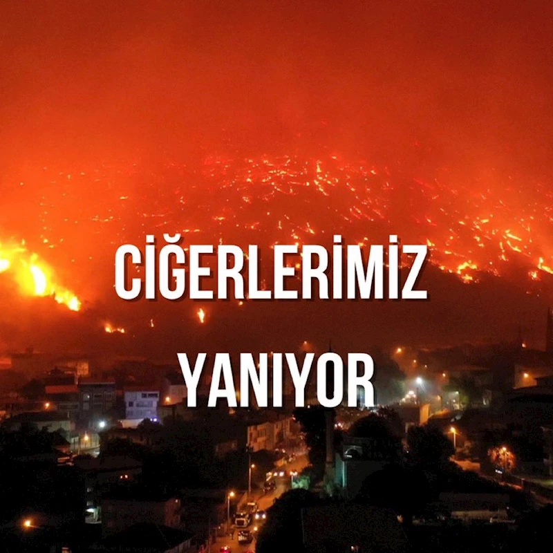 Afyonkarahisar