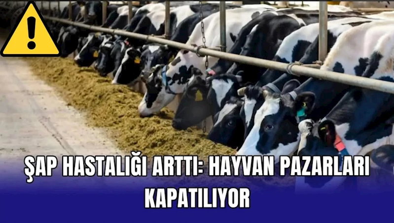 İyi Parti