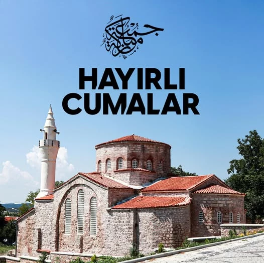 AK Parti Afyonkarahisar Milletvekili Ali Özkaya