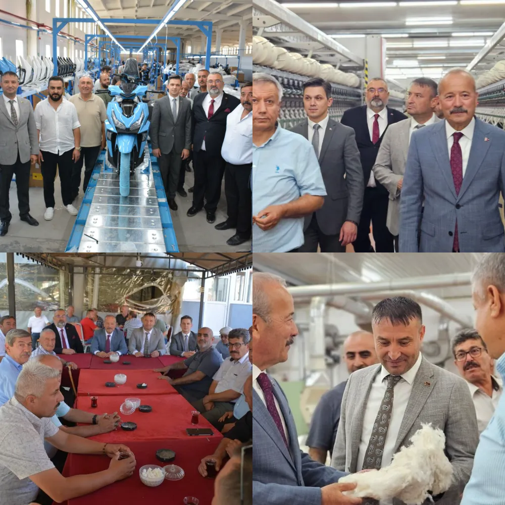 Milletvekili Taytak, 