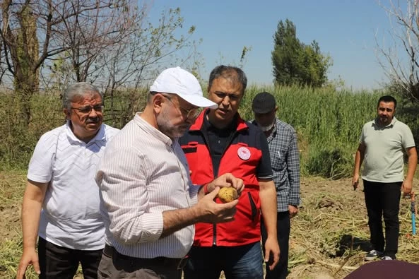 Ali Özkaya