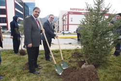 Ali Çetinkaya Kampüsü ağaçlandırıldı